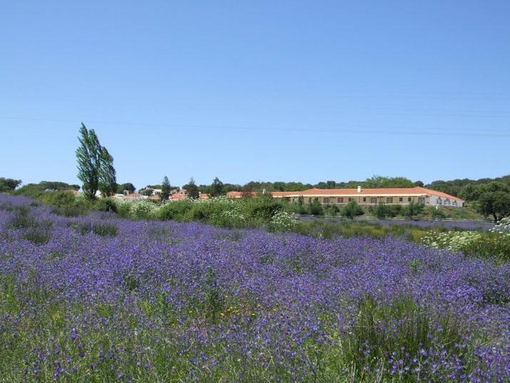 מונטרמור-או-נובו Hotel Rural Da Ameira מראה חיצוני תמונה