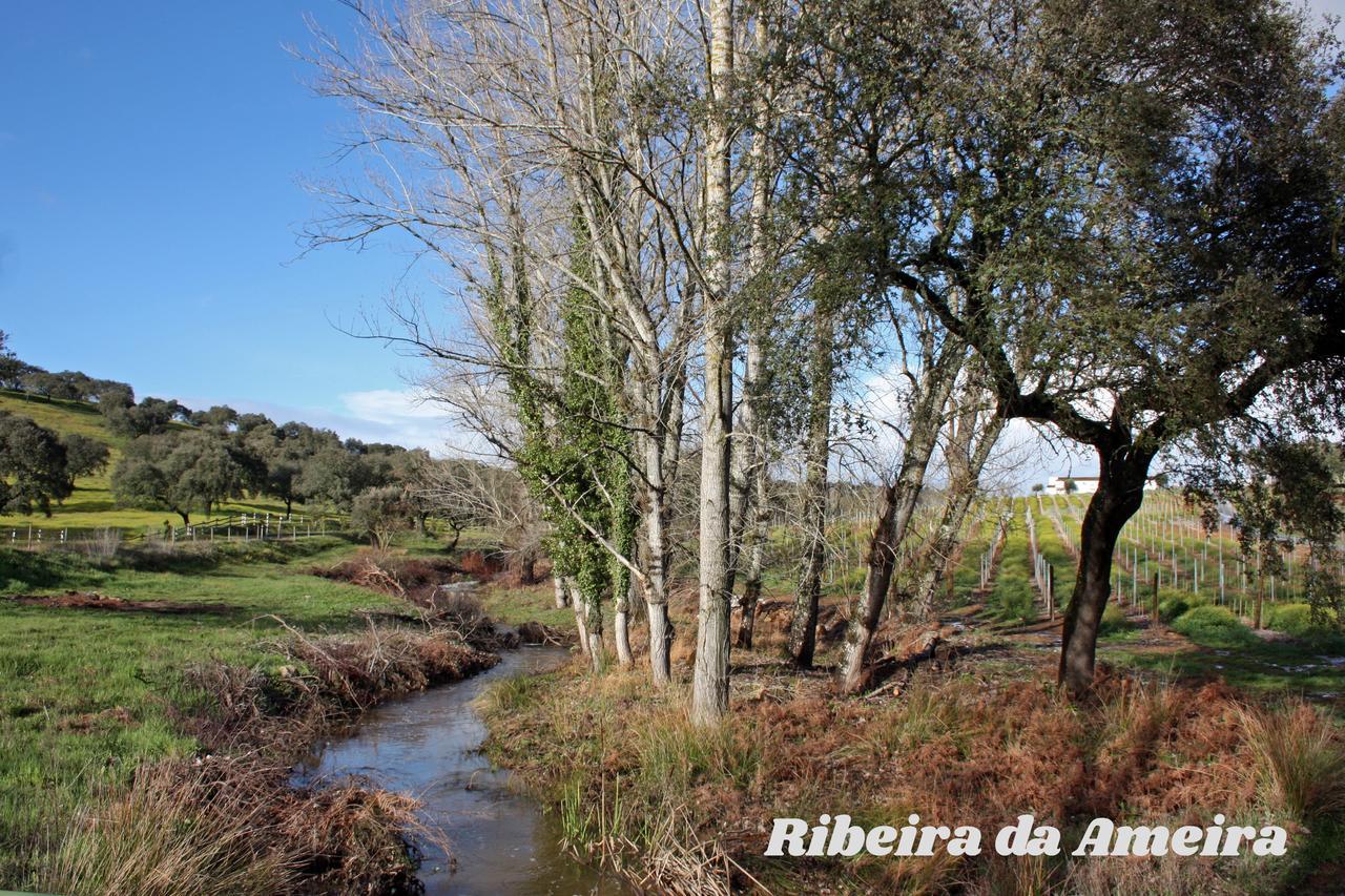 מונטרמור-או-נובו Hotel Rural Da Ameira מראה חיצוני תמונה